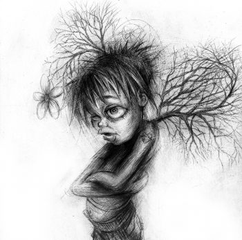 Craig-Everett-Tree-Fairy-Original-Sketch